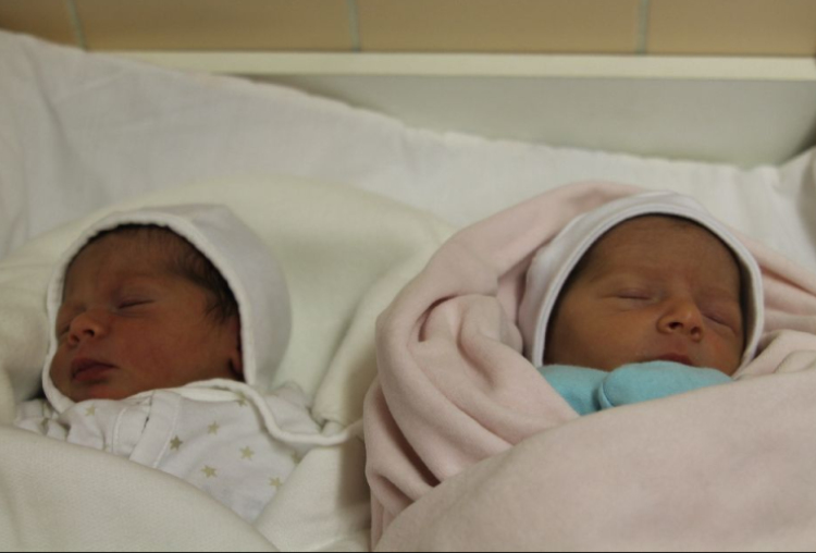 Tulcan-Szarka Liza és Lili