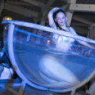 Mundo - Wellhello 2015.06.13. (szombat)