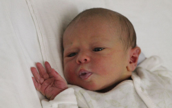 Heindl Olivér Zétény 