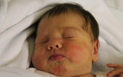 Hornyák Viktória Dóra