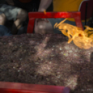 Mackó Kuckó jótékonysági evőverseny és 5. születésnap