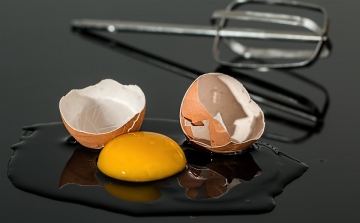 Újabb szennyezett tojásokat vontak ki a forgalomból Franciaországban