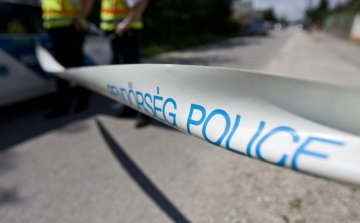 Szörnyethalt a sofőr és a kutyája