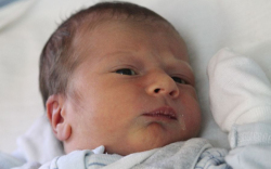 Csapó Dominik Máté