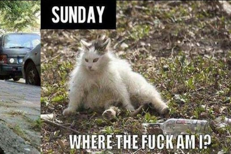 Péntek reggel kontra szombat reggel! 