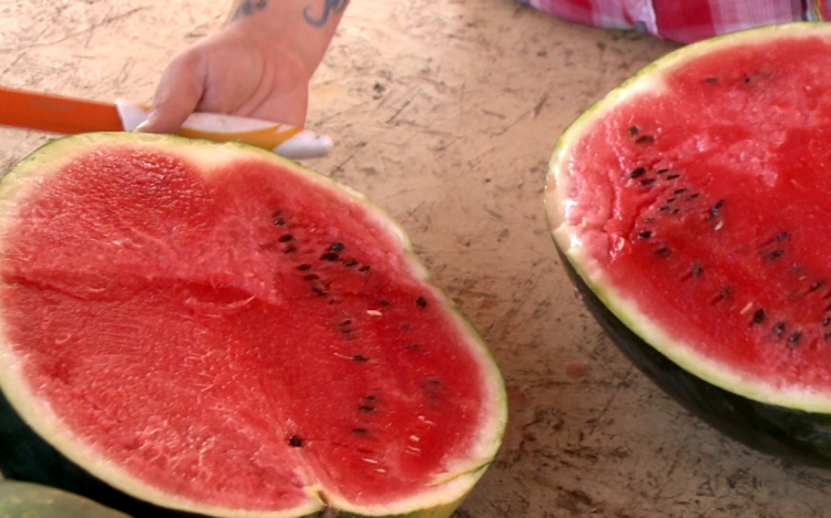 Hiába drága, jól fogy a magyar dinnye