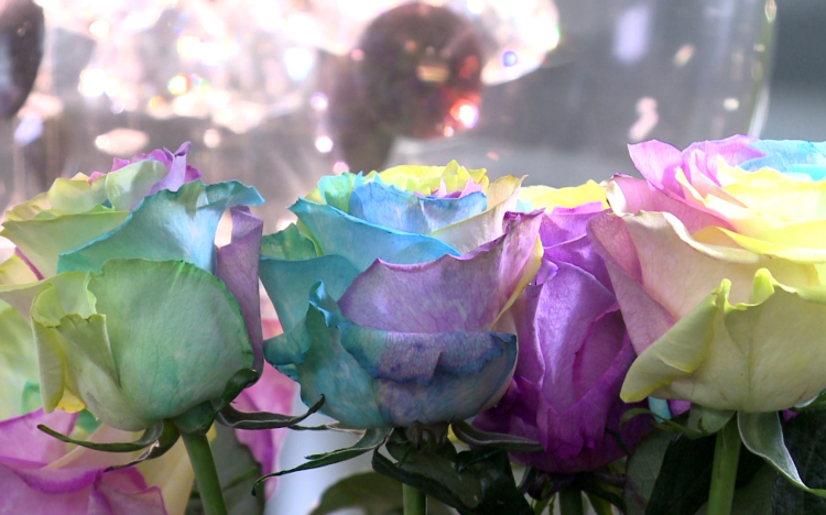 Nem spórolunk a virágon Anyák napján