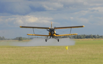 Robbanásszerűen gyarapodnak a szúnyoglárvák