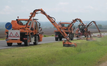 Már zajlik a kaszálás