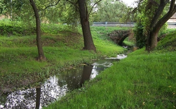 Olaj folyt egy patakba Sopron közelében