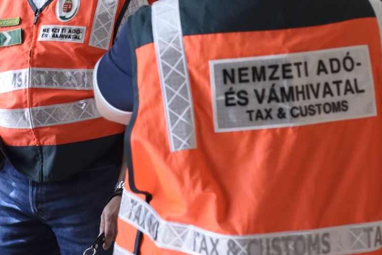 Hathetes kölyökkutyákra bukkantak Hegyeshalomnál egy román autóban