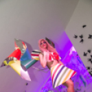 Mundo - Chris Lawyer 2014.05.17. (szombat)