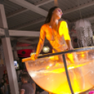 Mundo - Wellhello 2015.06.13. (szombat)