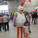 2017.07.27. EYOF 2017 Győr 4.nap Fotók:árpika 