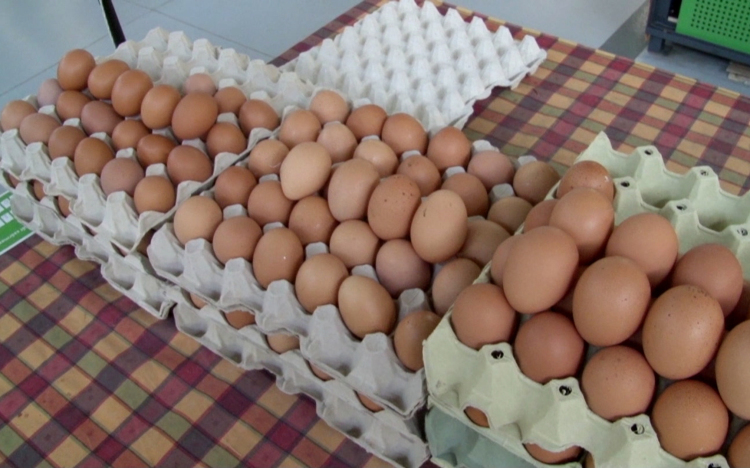 100 forint is lehet a tojás