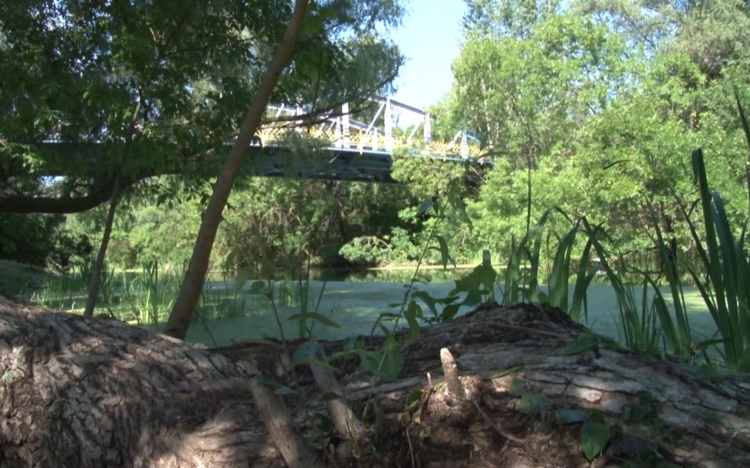 Másodszor is Hídpiknik