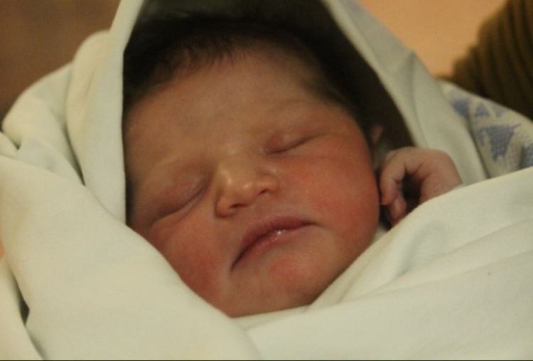 Limp Jázmin Ildikó