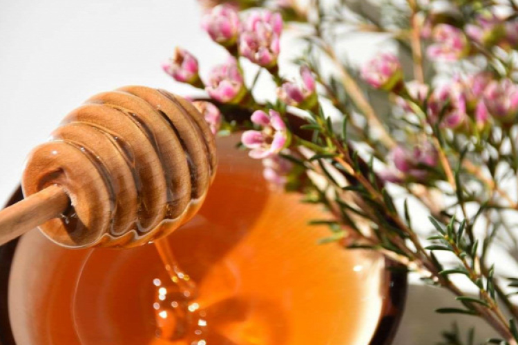 Megválasztották az idei év legjobb magyar mézét