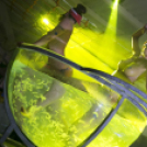 Mundo - Made in Ibiza Show 2014.06.07. (szombat)