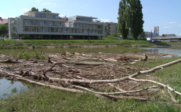 Uszadékfa torlaszolja el a Rábát