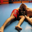 2013.02.16.Szombat Profi MMA És Box Mérkőzés Fotók:árpika