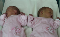 Pere Dorottya Mária,Pere Boróka Gabriella