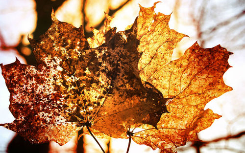 Időjárás - A jövő héten is lehet még 25 fokos meleg