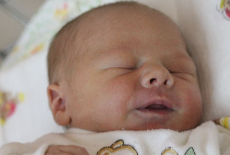 Horváth Noé Dávid 