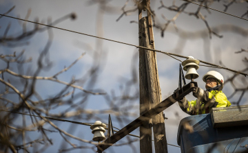 Madárbarát villanyoszlopok