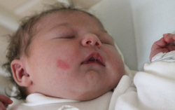 Egyházi Ramóna Petra