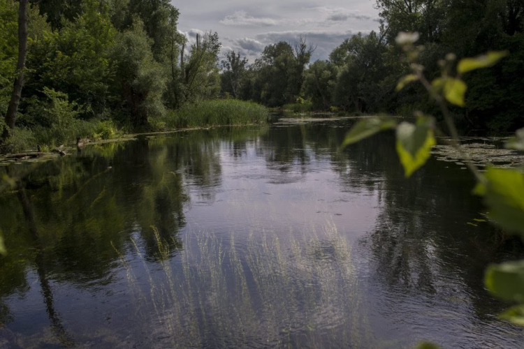 Dunáljunk még! – aktív családi nap a Szigetköz Natúrparkban