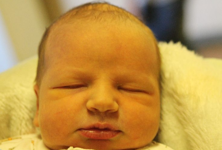 Stróbli Marcell Bence