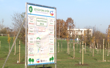 Újabb facsemetékkel bővült a Győrkőcliget