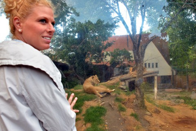 Oroszlán Szonja örökbefogadott egy oroszlánt