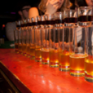 Lapos 2013.02.01. (péntek) (2) (Fotók: K. Balázs)