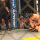 2015.05.09. Profi MMA Gála fotók:árpika