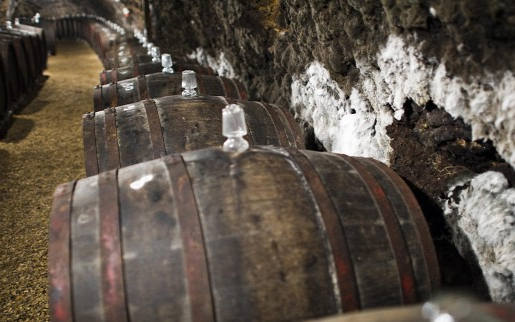 Mustgázmérgezést kapott Kékcsén 