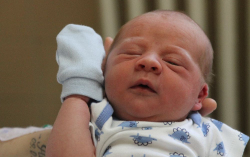 Fekete Marcell Richárd 