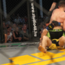 2015.05.09. Profi MMA Gála fotók:árpika