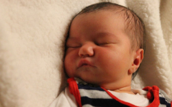 Zsebők Júlia Dalma 