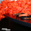 04.23. Lapos Party - Antonyo