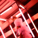 Club Mundo -  All for Ladies 2013.06.01 (szombat) (2) (Fotók:Vertigo)