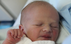 Nemes András József 