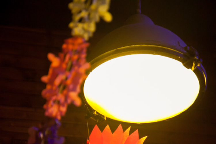 Lapos 2013.01.04. (péntek) (1) (Fotók: K. Balázs)