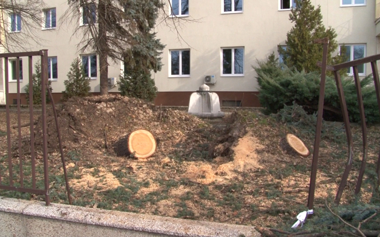 Győrt és környékét sem kímélte a vihar