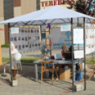 2013.06.21 Péntek SzFeszt.2.nap Fotók:árpika