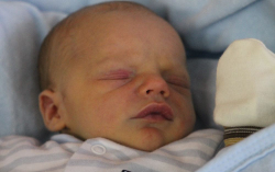 Horváth Benjamin János 