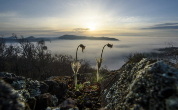 Újra tavasziasra fordul az időjárás