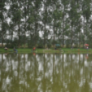 IV. Győri Szuperinfó Családi Piknik és Amatőr Horgászverseny Fotó: Novák Attila