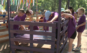 Raklapokból építettek múzeumot a gyerekek